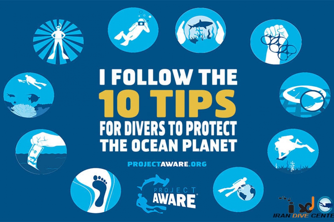 10 نکته برای غواصان در حفاظت از سیاره اقیانوسی