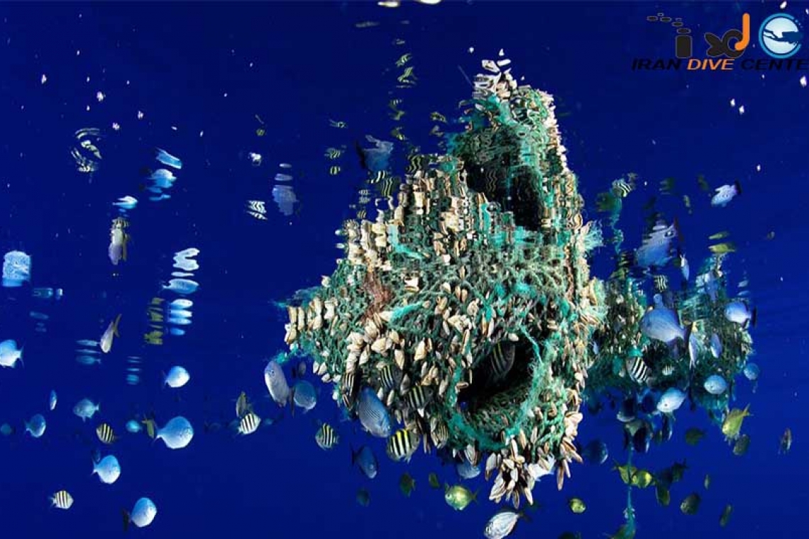 ریز پلاستیک؛ تهدیدی سمی برای تنوع زیستی دریایی