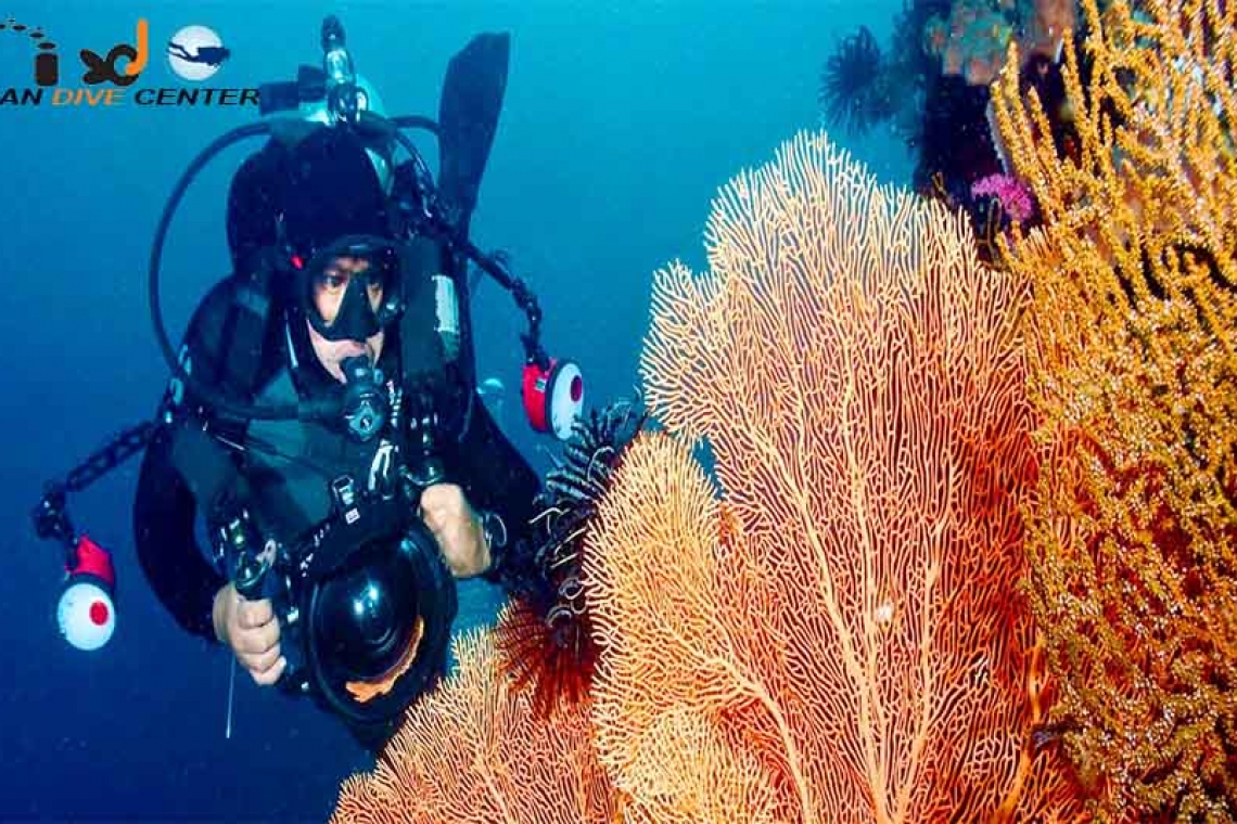 ده اصول ابتدایی برای شروع عکاسی در زیر آب